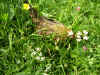 PICT0052.JPG (304450 octets)
