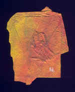 TM11B.JPG (45219 octets)
