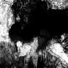 A.M_gf_37_s.JPG (133835 octets)