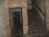 CS (11).JPG (389059 octets)