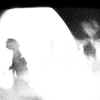 A.M_ae_S.JPG (56983 octets)