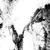 A.M_gf__45_s.JPG (121196 octets)