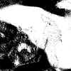 A.M xx 003.JPG (116248 octets)