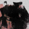 Estampe C (000).JPG (443261 octets)
